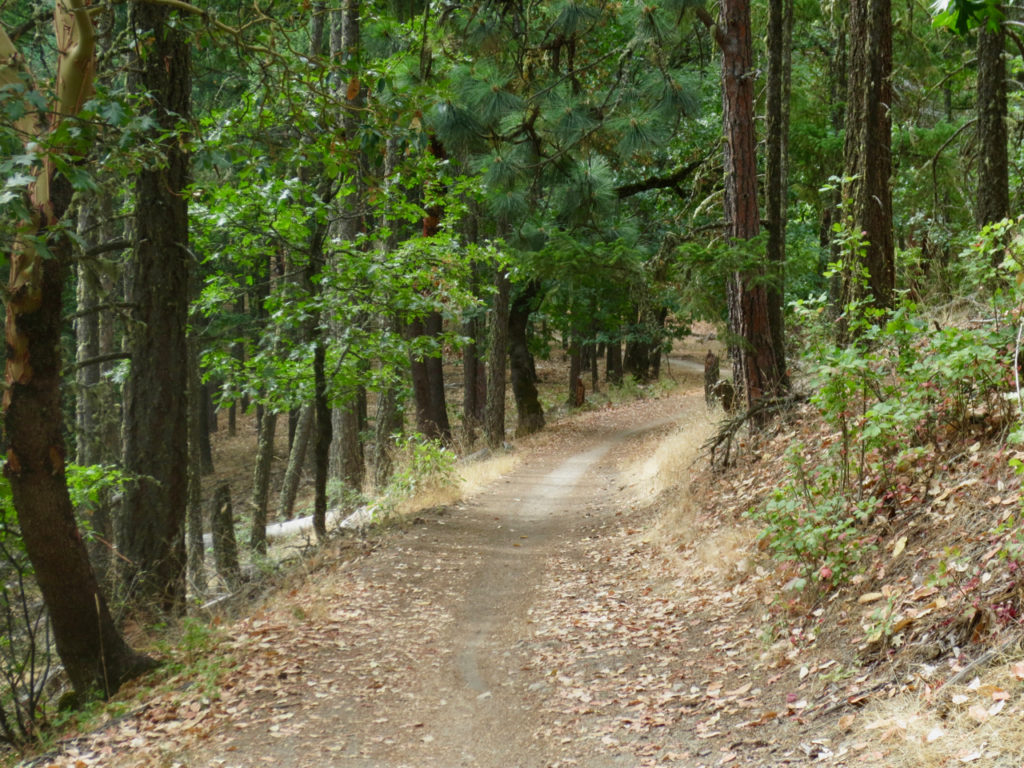 Alice Trail