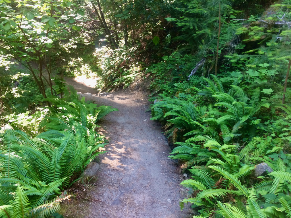 Toothpick Trail